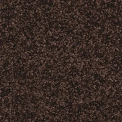 Sérénité Moquette Sérénité BRUN