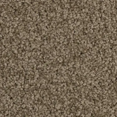 Sérénité Moquette Sérénité SEPIA