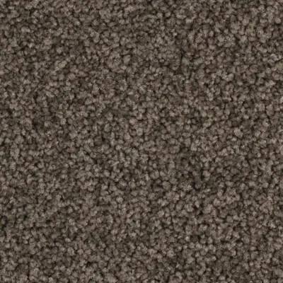Sérénité Moquette Sérénité TAUPE