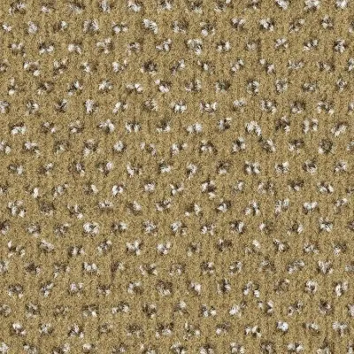 Signature Moquette Signature SABLE