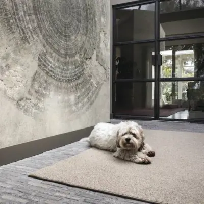 So wool