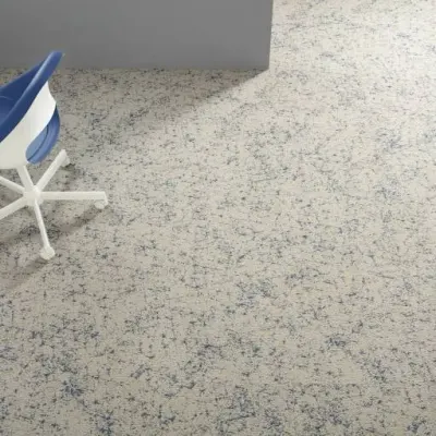 Stimuli