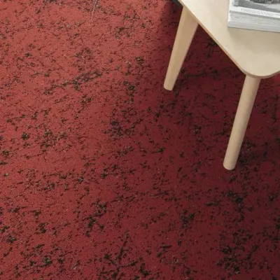 Stimuli