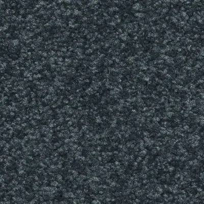Sublime Moquette Sublime SONGE