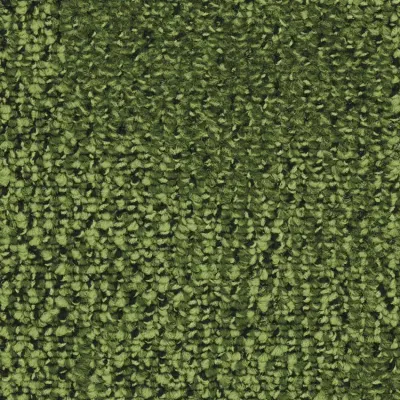 Take a Walk Moquette Take a Walk 240