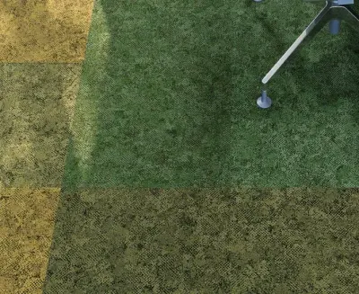 Take a Walk