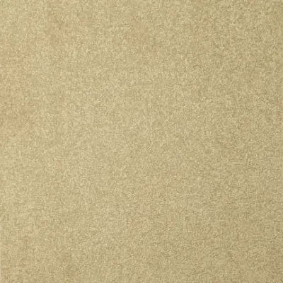 GOBEE BC02