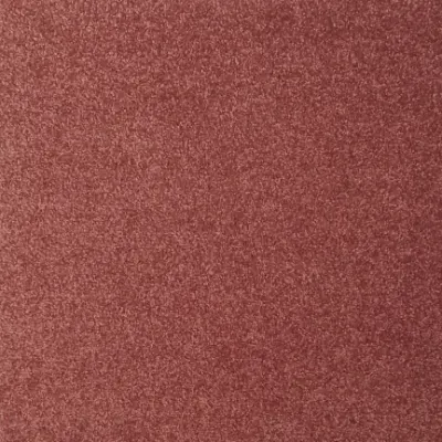 GOBEE BL02