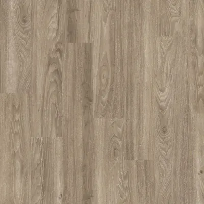 Expona Commercial Wood Light Elm