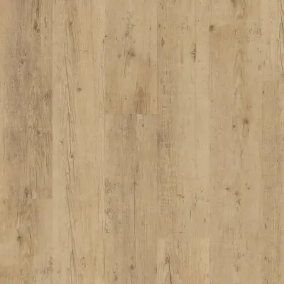 Expona Commercial Wood Shoreline Oak