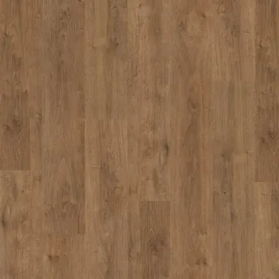 Expona Commercial Wood Amber Classic Oak