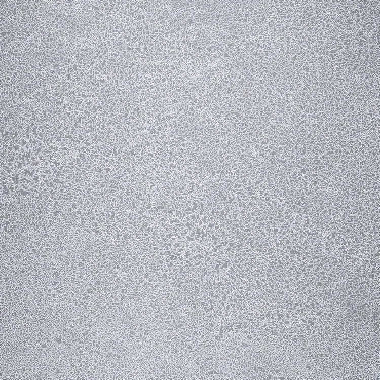 Novoflor Extra Sparkle 2440-58
