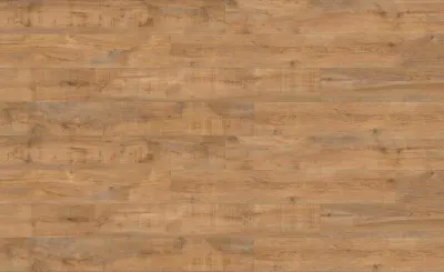 CREATION 40 CLIC ACOUSTIC SAVAGE OAK HONEY