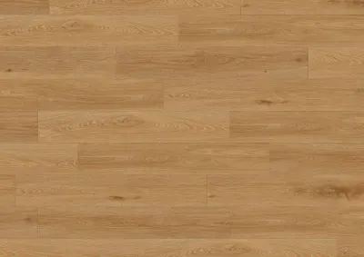 CREATION 55 CLIC ACOUSTIC AQUINOAH HONEY