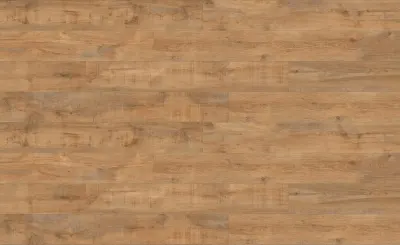 CREATION 55 CLIC ACOUSTIC SAVAGE OAK HONEY