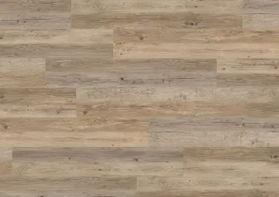 CREATION 55 LOOSELAY ACOUSTIC LONG BOARD