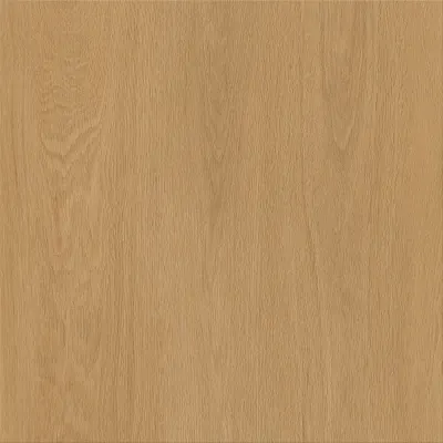 CREATION 70 CONNECT OAK GOLDEN