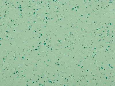 MIPOLAM BIOPLANET FOGGY HILL