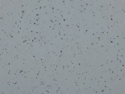 MIPOLAM BIOPLANET SIDERAL GREY