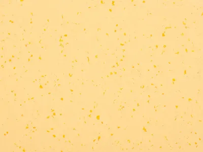 MIPOLAM PLANET SUN STONE