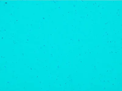 MIPOLAM PLANET REEF WATER