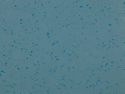 MIPOLAM PLANET ROCKY BLUE