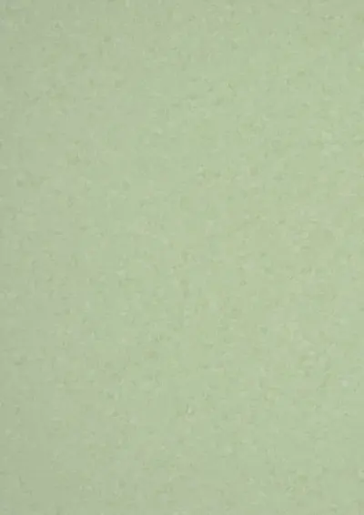 MIPOLAM SYMBIOZ T MUSK