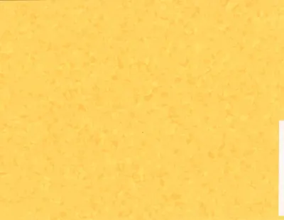 MIPOLAM SYMBIOZ T SUNSHINE