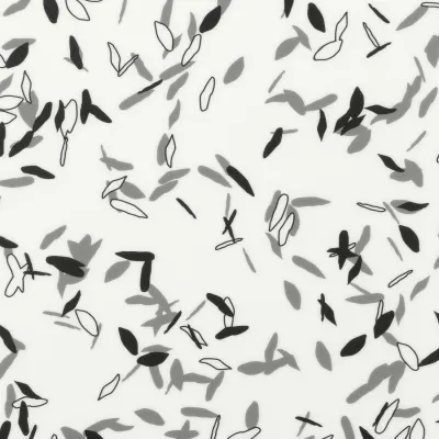 TARALAY IMPRESSION COMPACT ENVOL B&amp;W