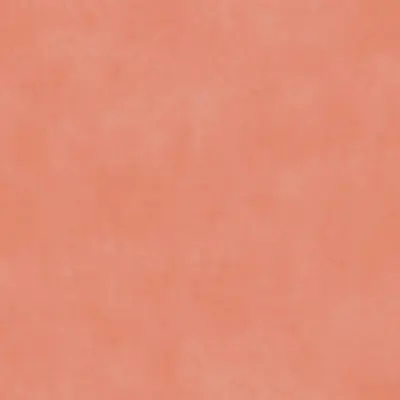 TARALAY INITIAL ACOUSTIC NOWY CHICAGO CORAL
