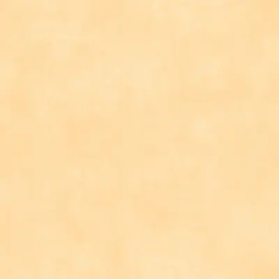 TARALAY INITIAL COMPACT NOWY CHICAGO SUNSHINE