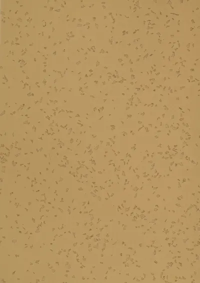 TARALAY MILLENIUM ACOUSTIC PAN