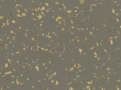 TARALAY PREMIUM ACOUSTIC POESY LYRIQUE