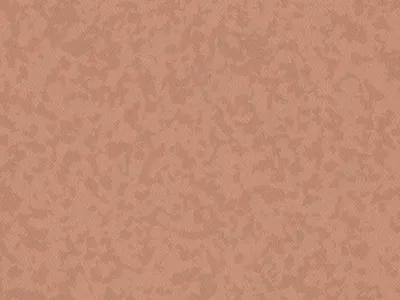 TARALAY PREMIUM COMPACT OSMOZ AWARA