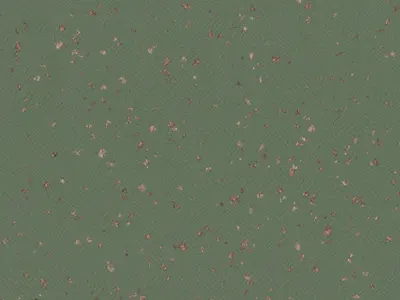 TARALAY PREMIUM COMPACT INDIANA² FAROE