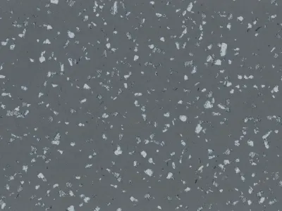 TARALAY PREMIUM COMPACT POESY LITOTE