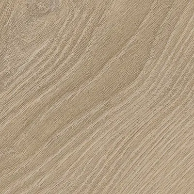 Maximus Divine Oak Herringbone Champagne