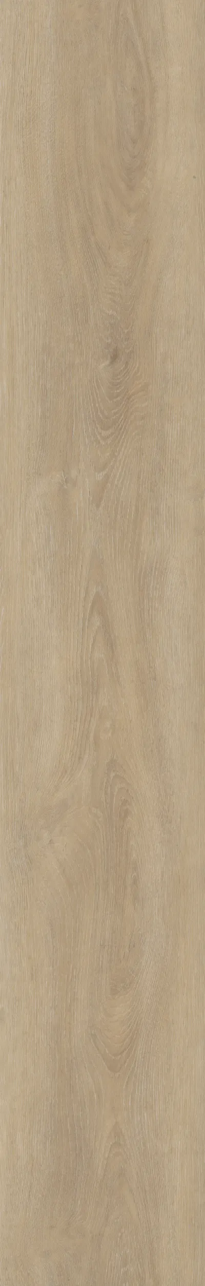 Maximus Divine Oak — zbliżenie struktury