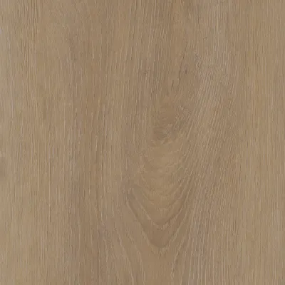 Maximus Divine Oak XL Cookie