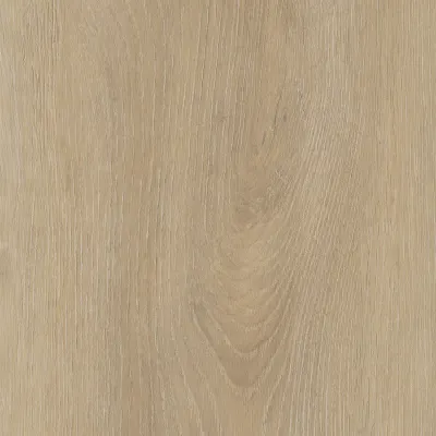 Maximus Divine Oak Champagne