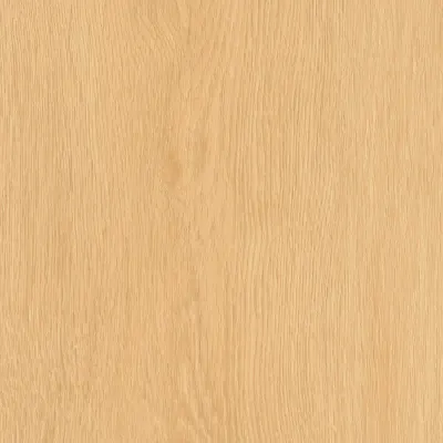 Maximus Regency Oak Scone