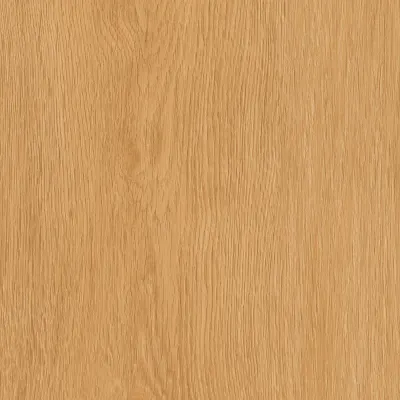 Maximus Regency Oak Bagel