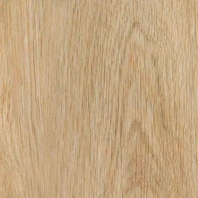 Maximus Velvet Oak Celeste