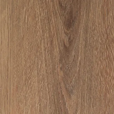 Maximus Velvet Oak Grace