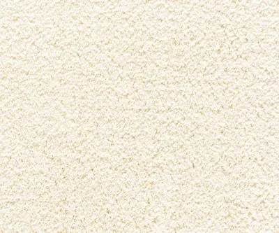 Cashmere Velvet 31