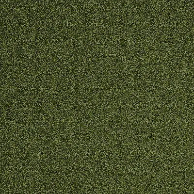 Evolve HPC 28
