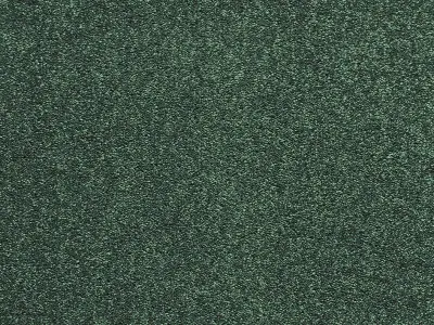 Frivola 28