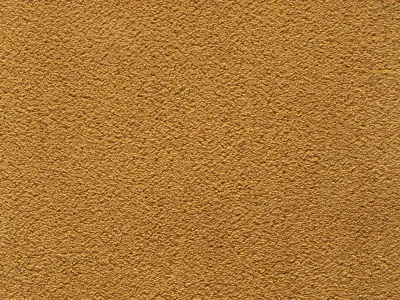 Intense HPC 55