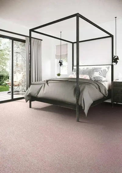 Noble Dreams