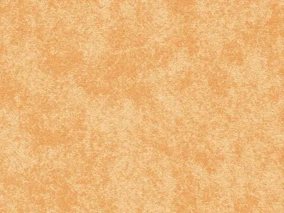 Serenade 283
